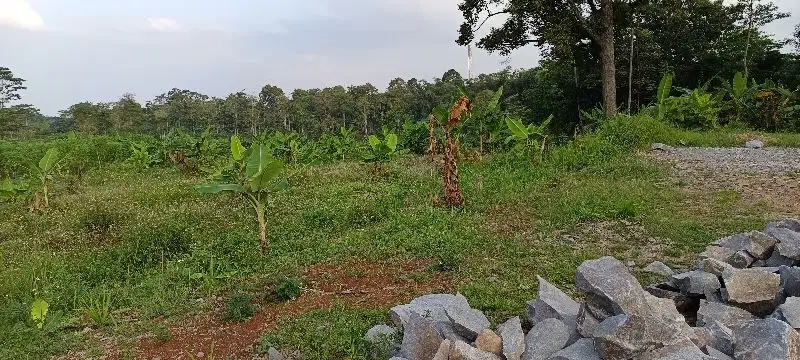 Dijual Tanah Industri Siap Bangun Wringinputih Kab. Semarang