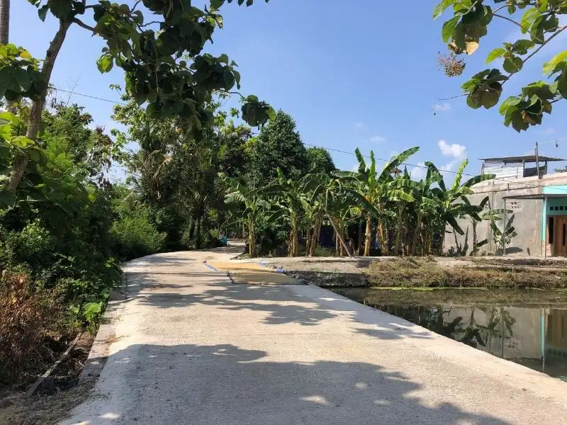 JUAL MURAH TANAH JETIS BANTUL, JOGJA