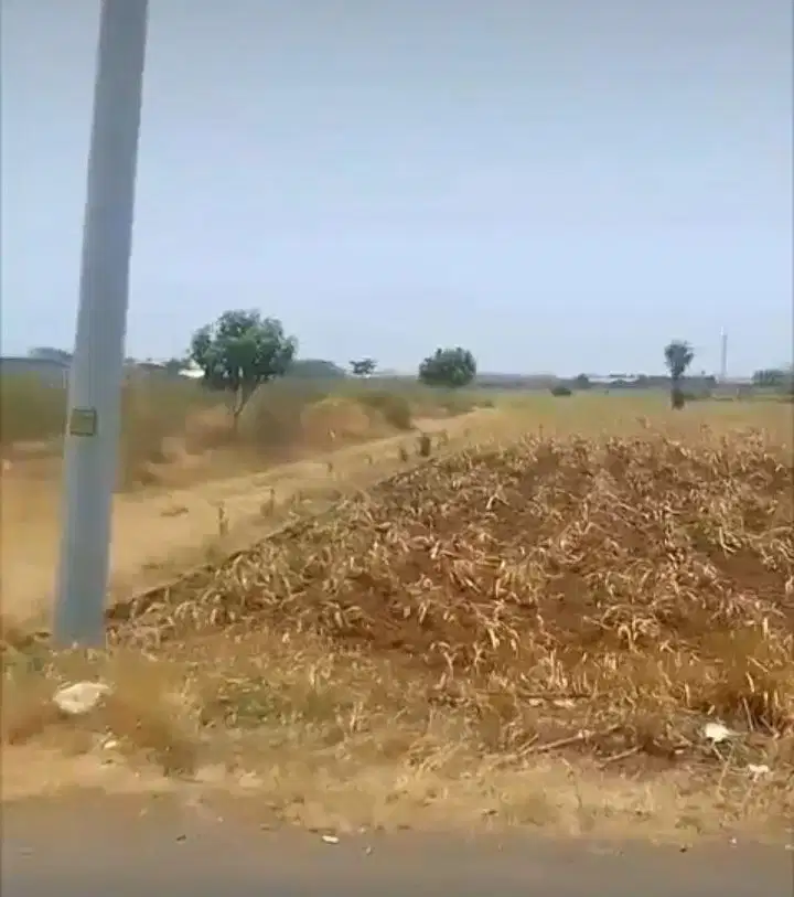 DIJUAL LAHAN INDUSTRI 8 - 15 HA, KALINYAMATAN, JEPARA