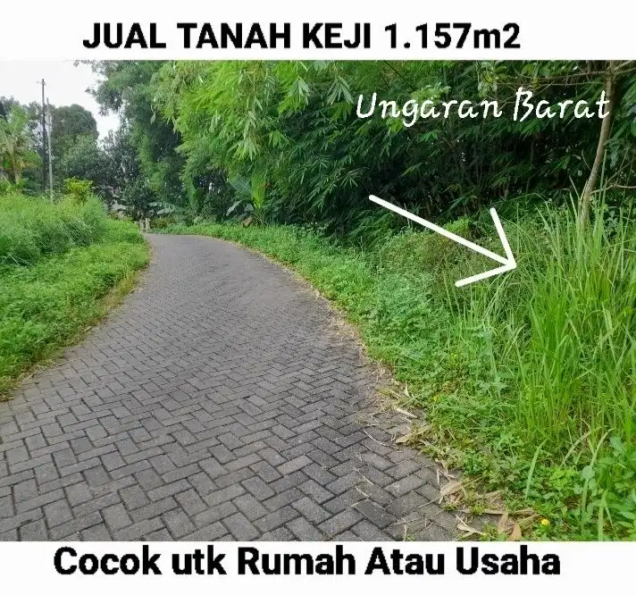 TANAH UNTUK RUMAH ATAU USAHA APA SAJA, UNGARAN, KAB. SEMARANG