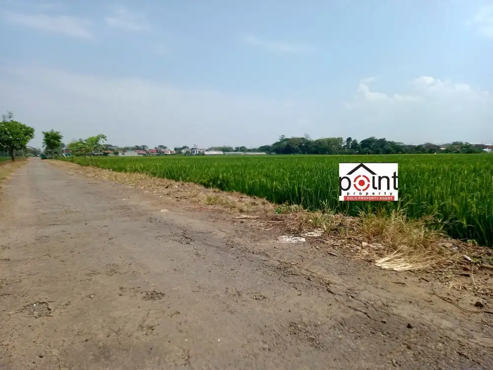 Tanah luas Bulakrejo Sukoharjo dijual cepat muraht