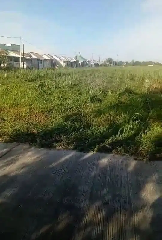 Jual tanah Murah  gedek Mojokerto bagus bangun perumahan