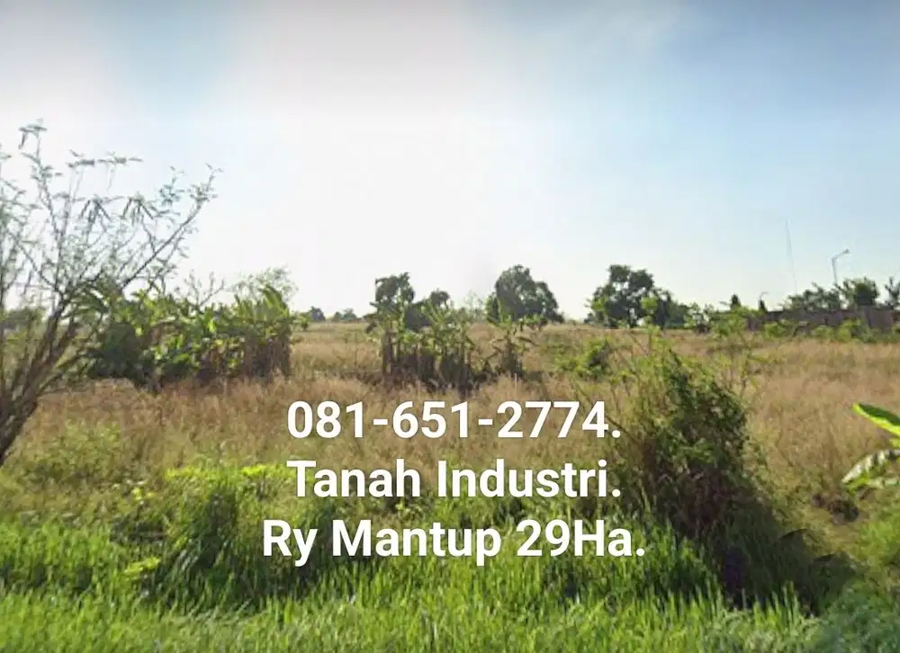 Tanah di Raya Mantup