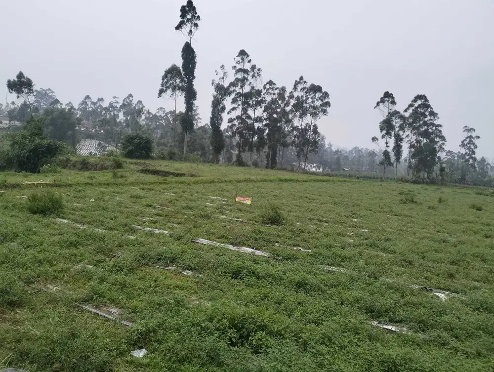 Jual Tanah Datar Cocok Buat Pertanian & Perumahan Pangalengan Bandung