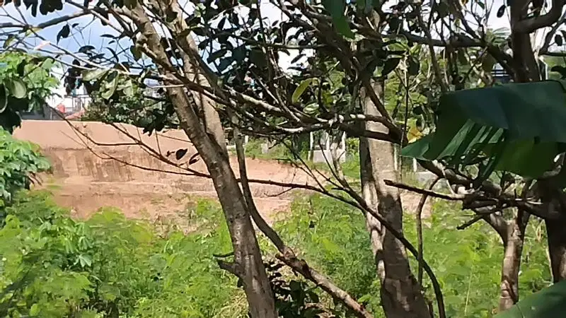 Lahan Bagus Dekat Candi Golf Istimewa Bisa Nego