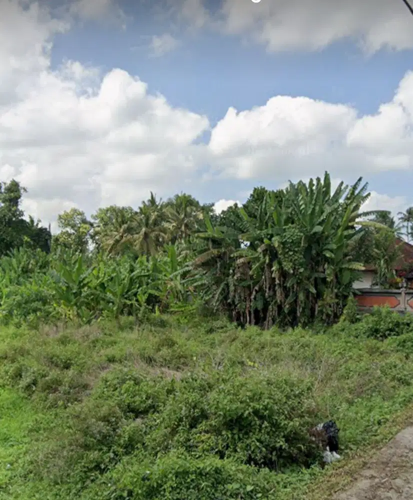 Tanah Strategis di Kedungu