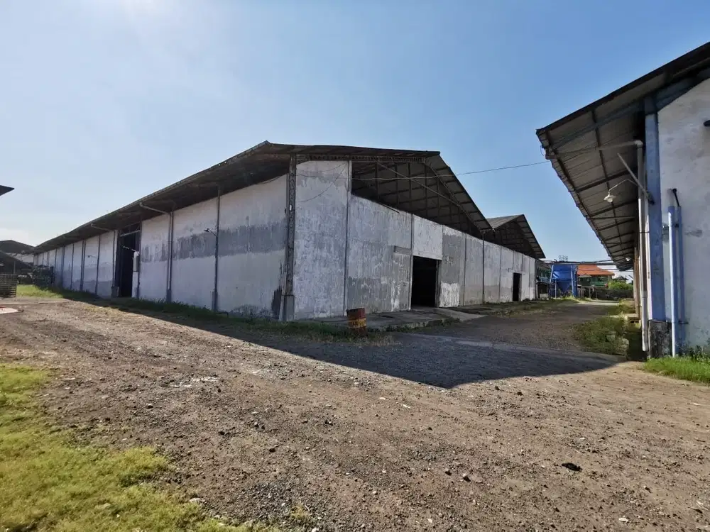 BDW DIJUAL MURAH PABRIK DI PASURUAN ,JALAN BINTORO DESA GUNUNG GANGSIR