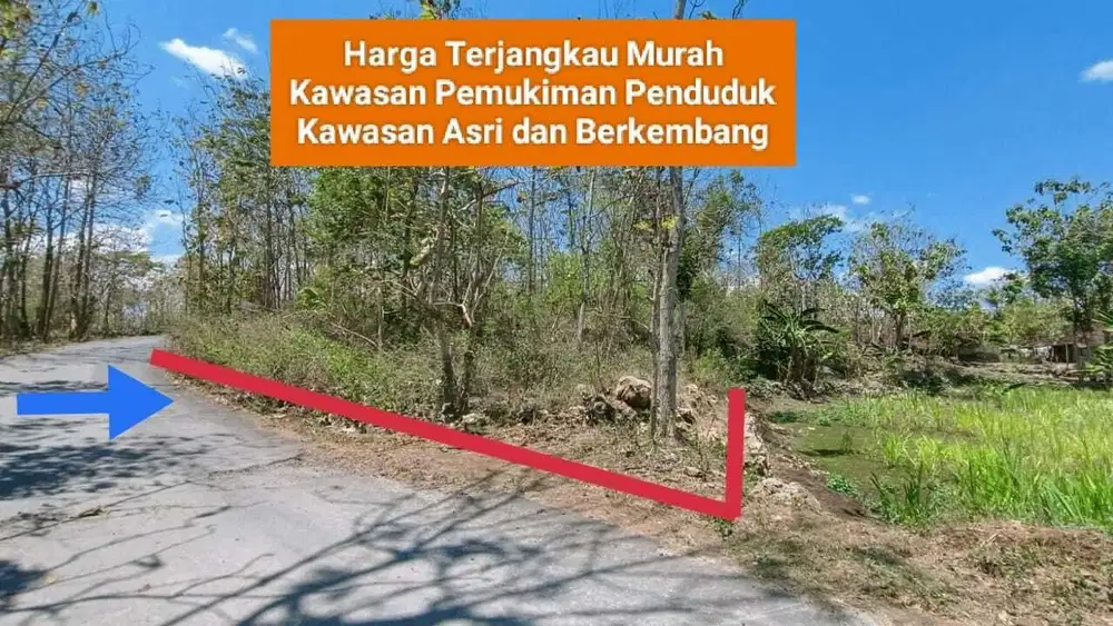 Jual Tanah murah mangku jalan raya di Goa Pindul Gunung kidul