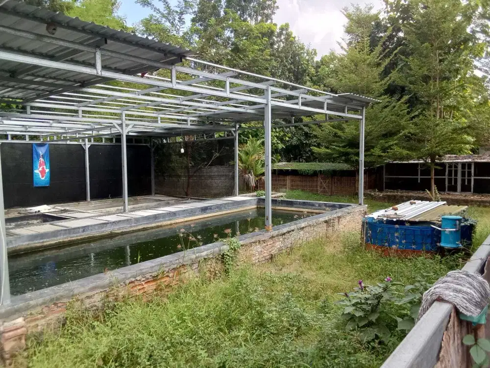 DIJUAL TANAH BERIKUT RUMAH KIOS DAN KOLAM IKAN LOKASI YOGYAKARTA