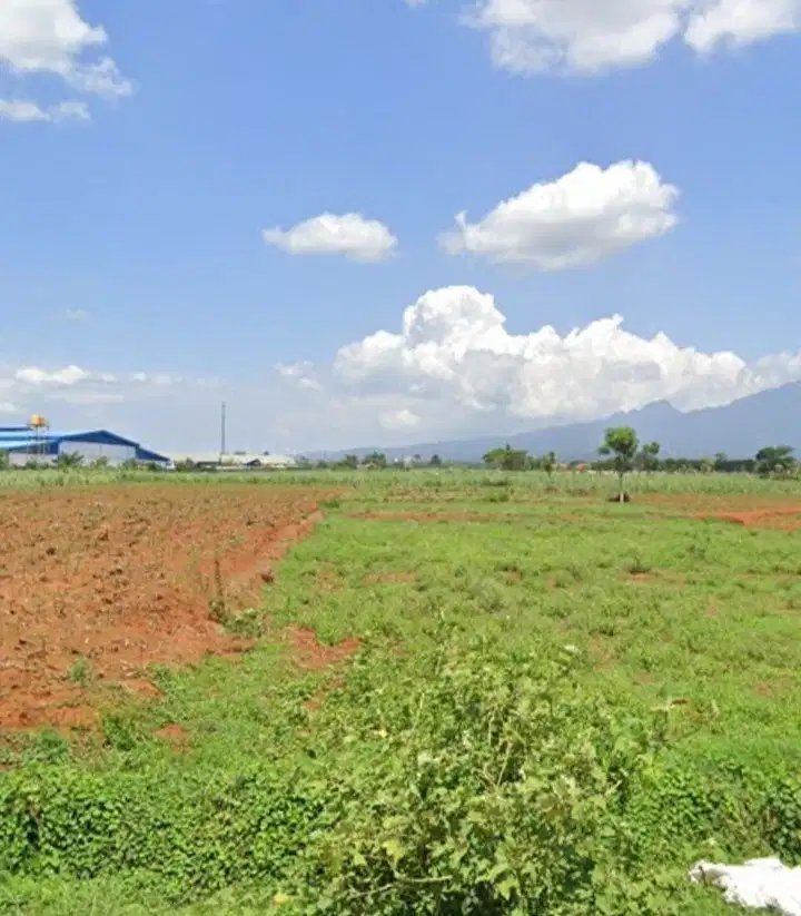 DIJUAL TANAH INDUSTRI DI JEPARA, KALINYAMATAN & PECANGAAN, JEPARA