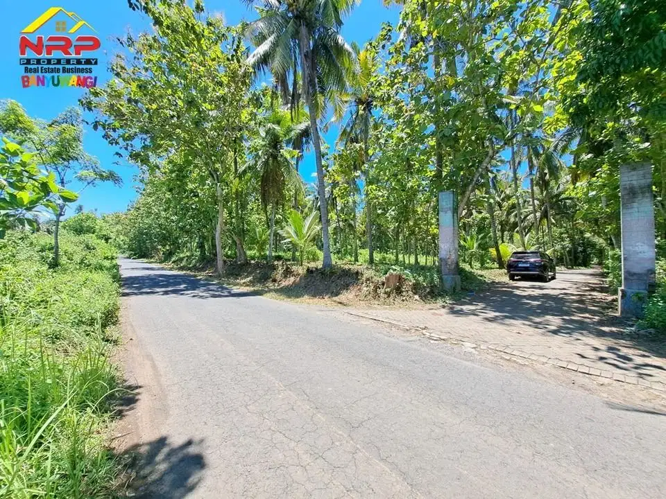 Dijual Tanah Murah tepi Jl. Kh Ahmad Asyari, Pakistaji - Banyuwangi