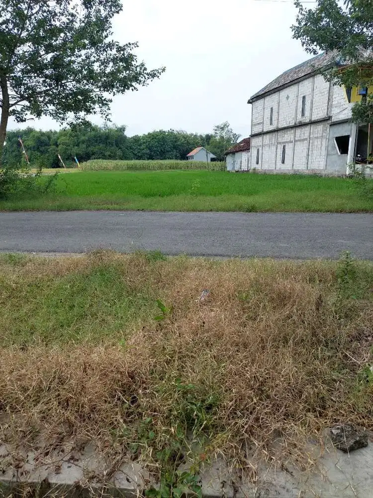 Lahan plot industri ukuran kecil