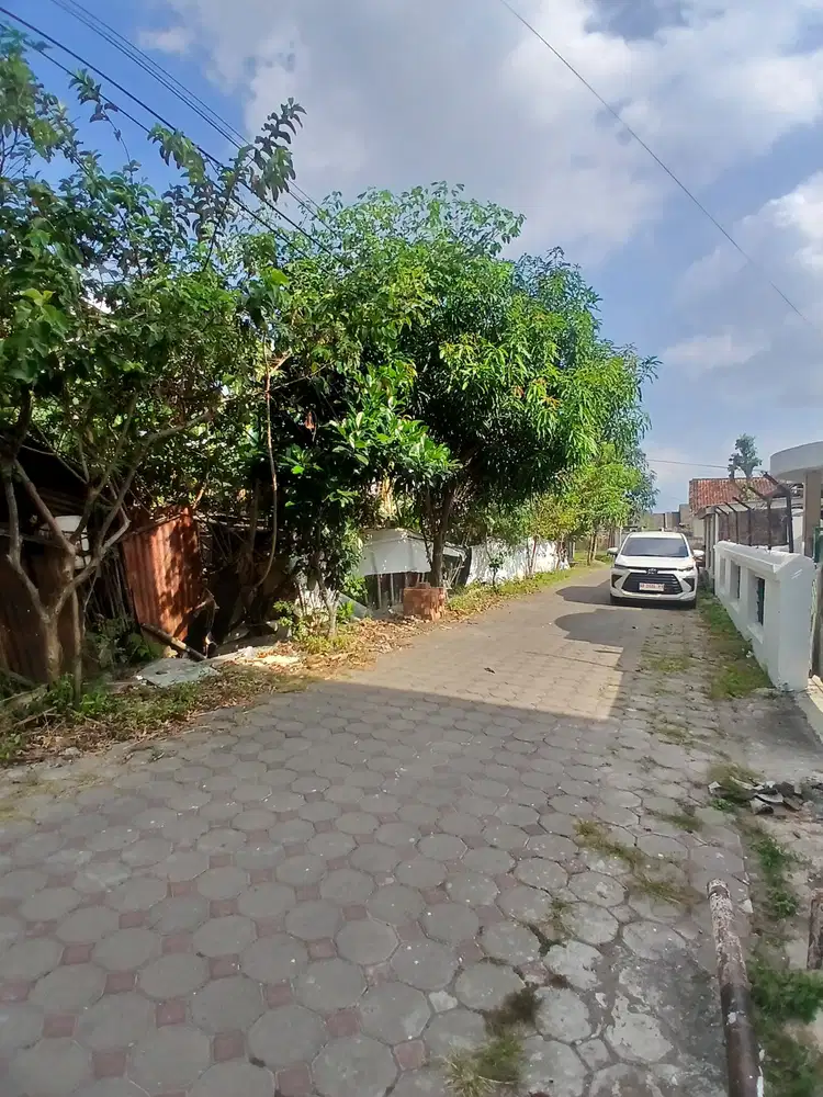 Tanah Nogotirto, View Sawah