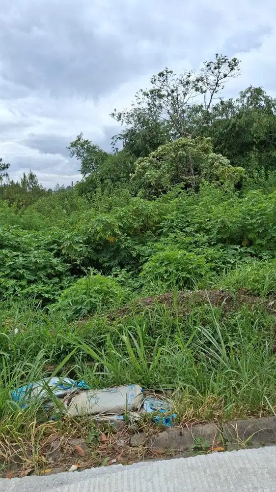 Jual Murah Tanah kavling Dago Pakar Bandung Utara
