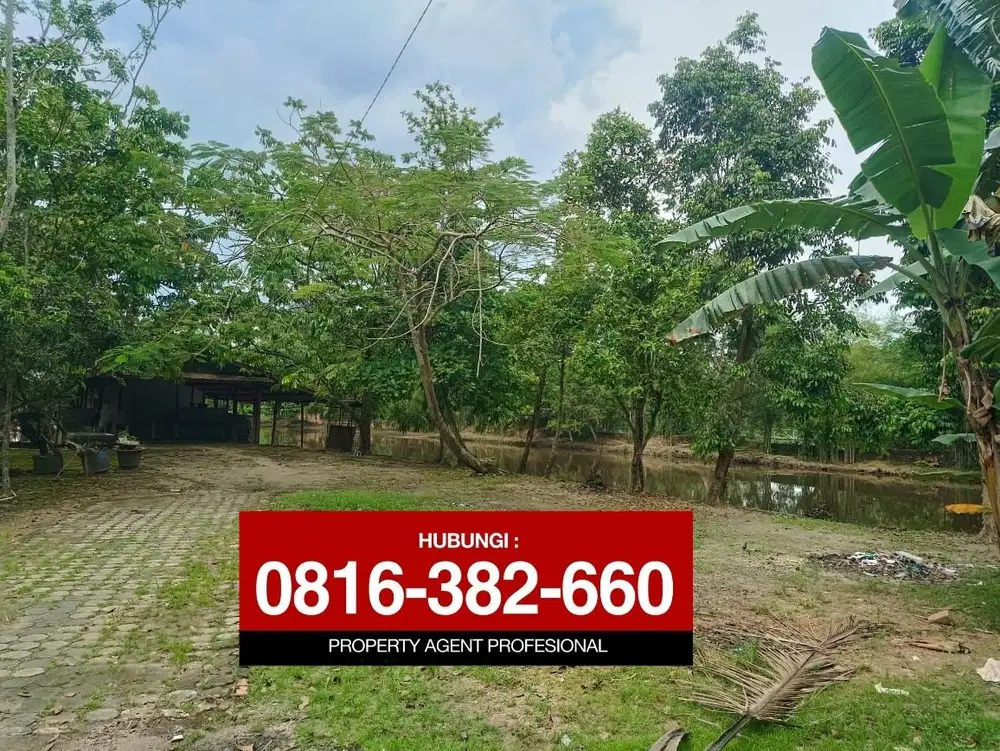 Dijual Tanah 1 Ha Sukarno Hatta