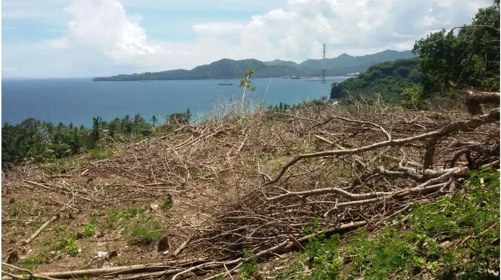 tanah view laut di karangasem