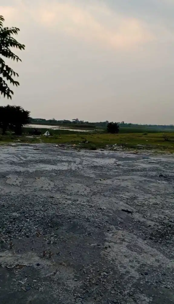 DIJUAL TANAH KALIWUNGU KENDAL ZONA MERAH/ INDUSTRI