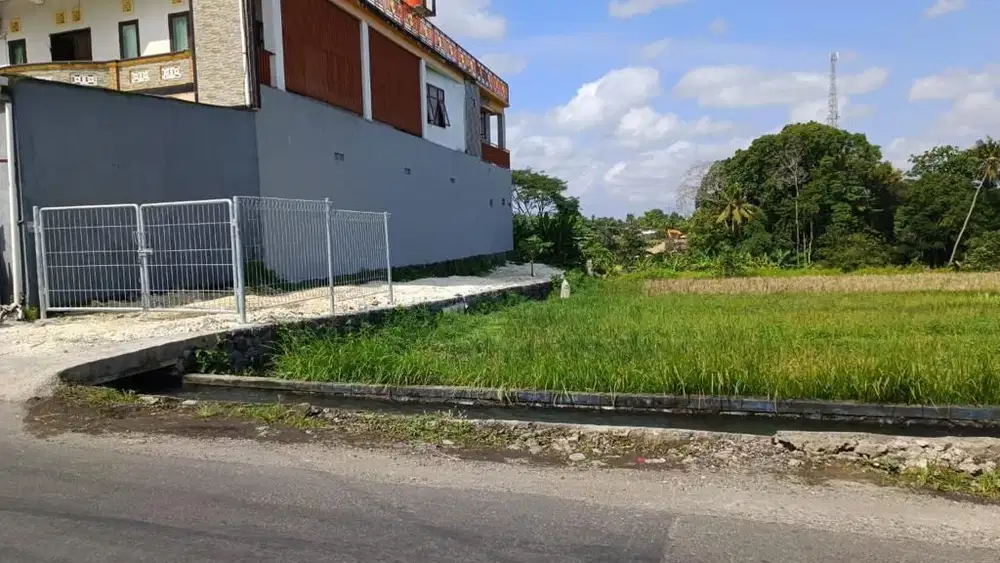 Dijual Tanah 1 Ha View Sawah Daerah Pantai Nyanyi