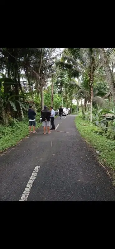 DIJUAL TANAH DI PEJENG DEKAT UBUD