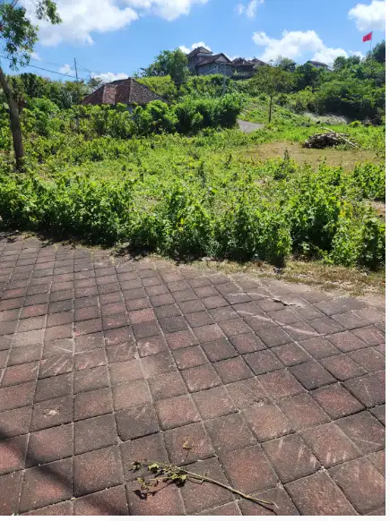 Land for lease at ungasan