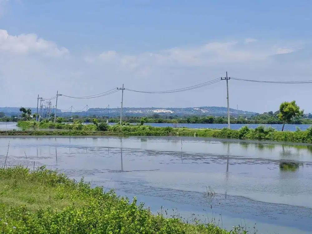 DIJUAL LAHAN TAMBAK PRODUKTIF DI UJUNGPANGKAH GRESIK