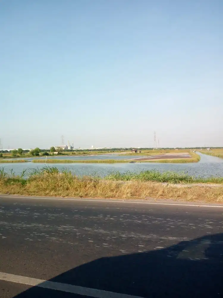 Dijual Tanah Di 4.3 Ha Di Romokalisari