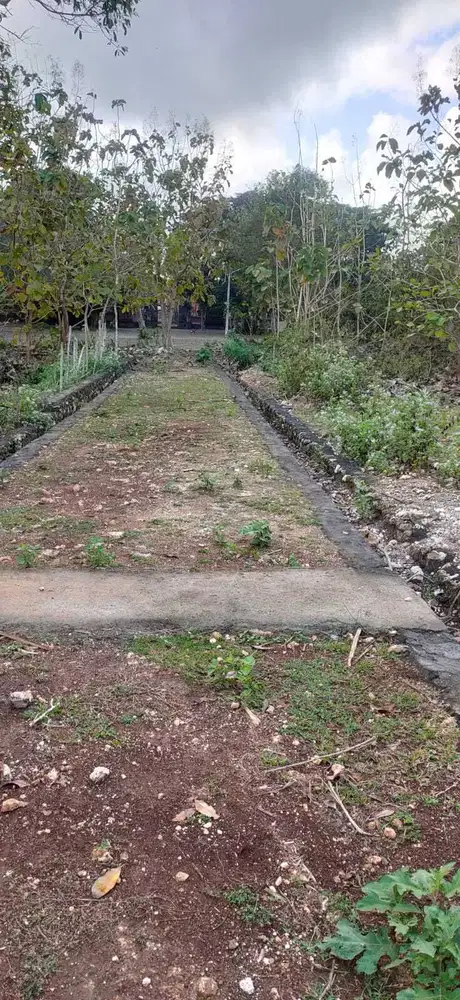 Disewakan Tanah Di Dekat Pantai Jimbaran