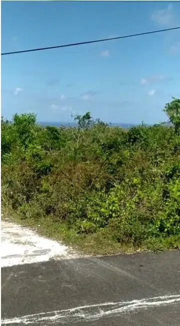 Leased Land 16 acres at Tukad Selatan Ungasan