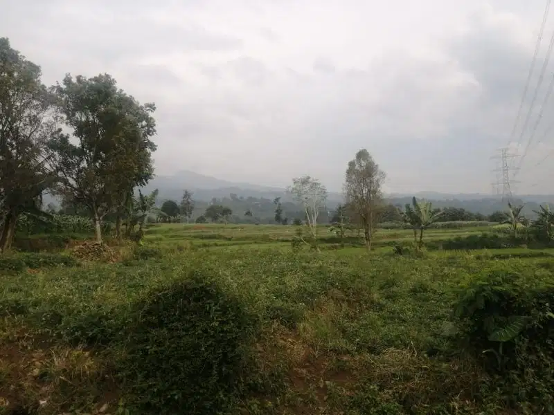 JUAL CEPAT TANAH CIMAUNG BANDUNG SELATAN