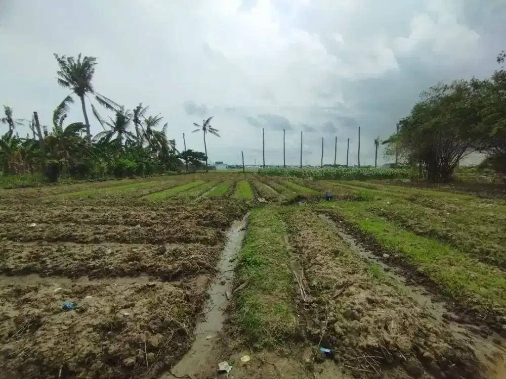 Dijual Tanah Luas di Sukamekar Sukawangi Bekasi
