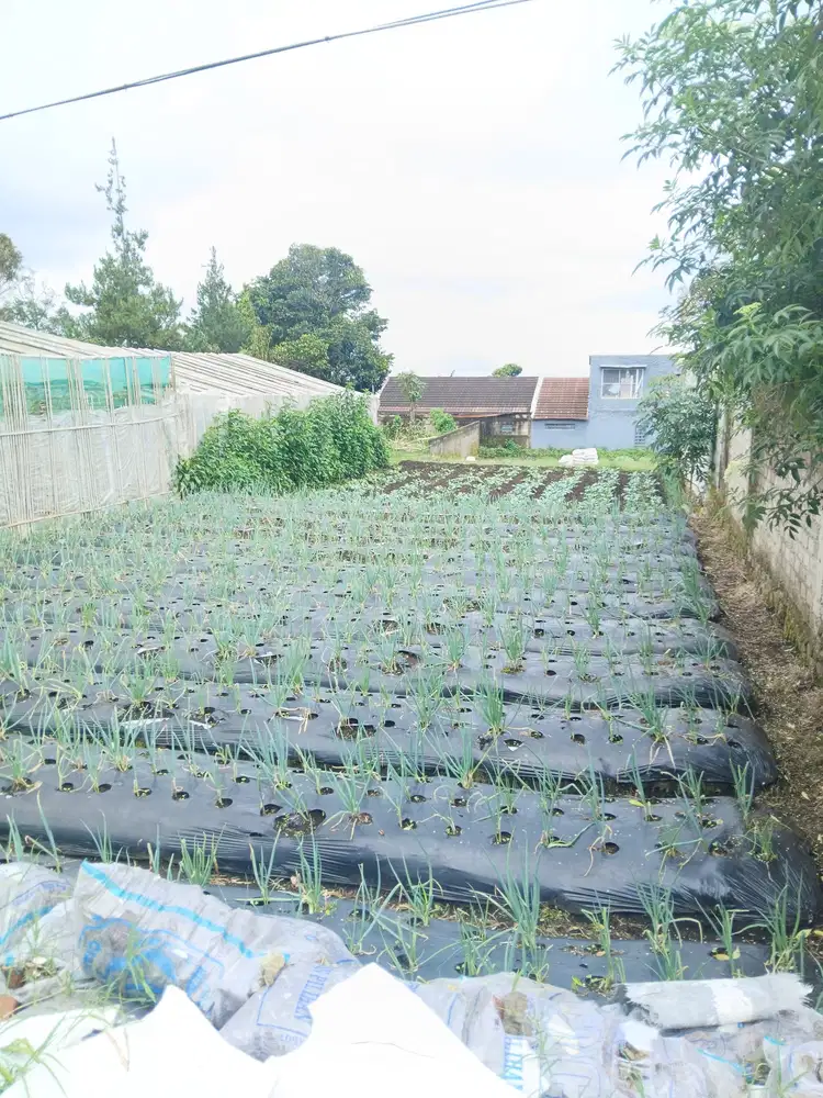 Di jual tanah kavling siap bangun di Lembang