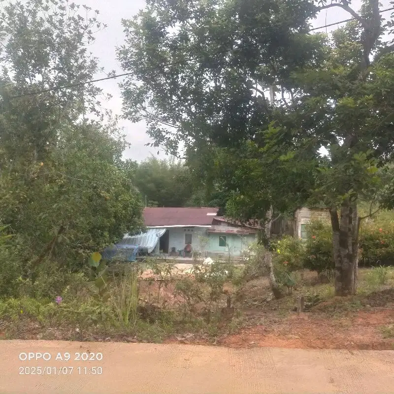 DIJUAL LAHAN 2 HEKTAR TRANSAD BALIKPAPAN