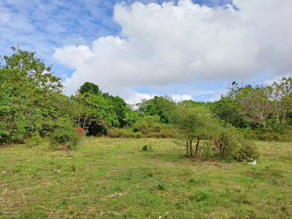 Tanah Jimbaran Dekat Kampus UNUD