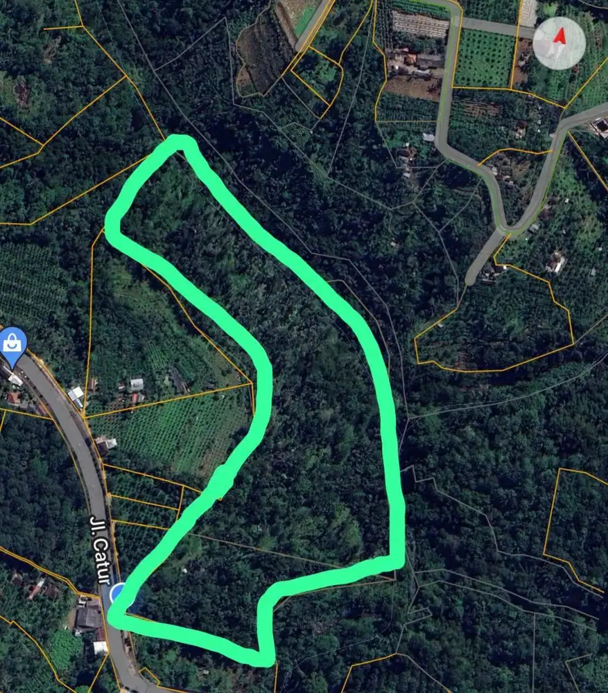 SEBIDANG TANAH YANG BERADA DI PLAGA PETANG BADUNG BALI