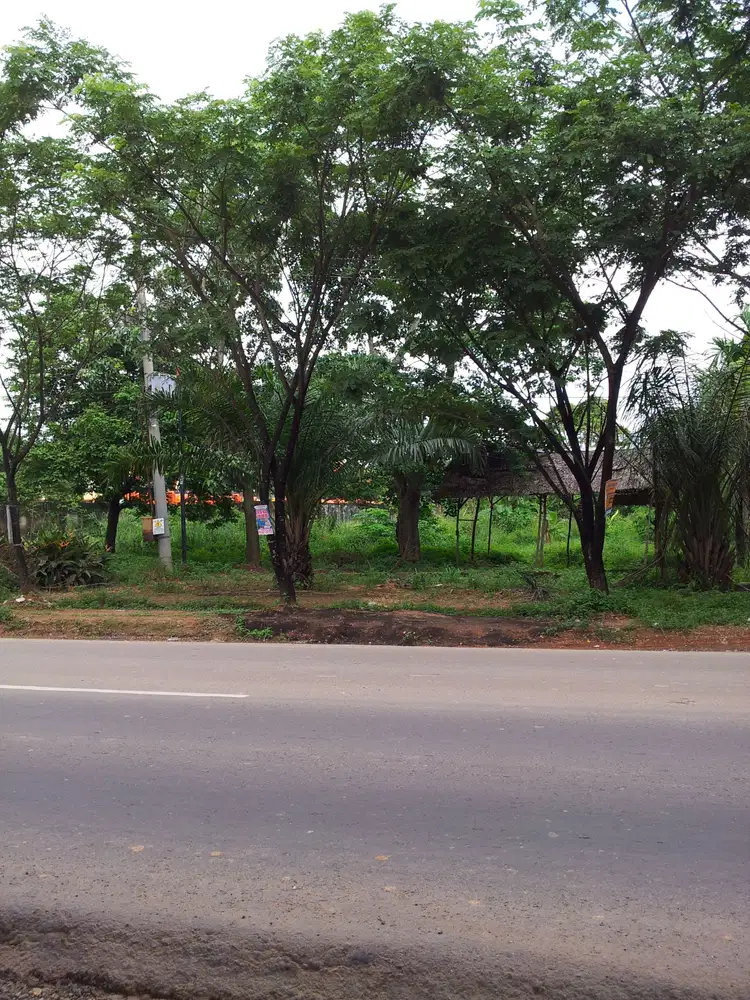 Disewakan lahan siap bangun Jl.Tanjung Api-api Palembang