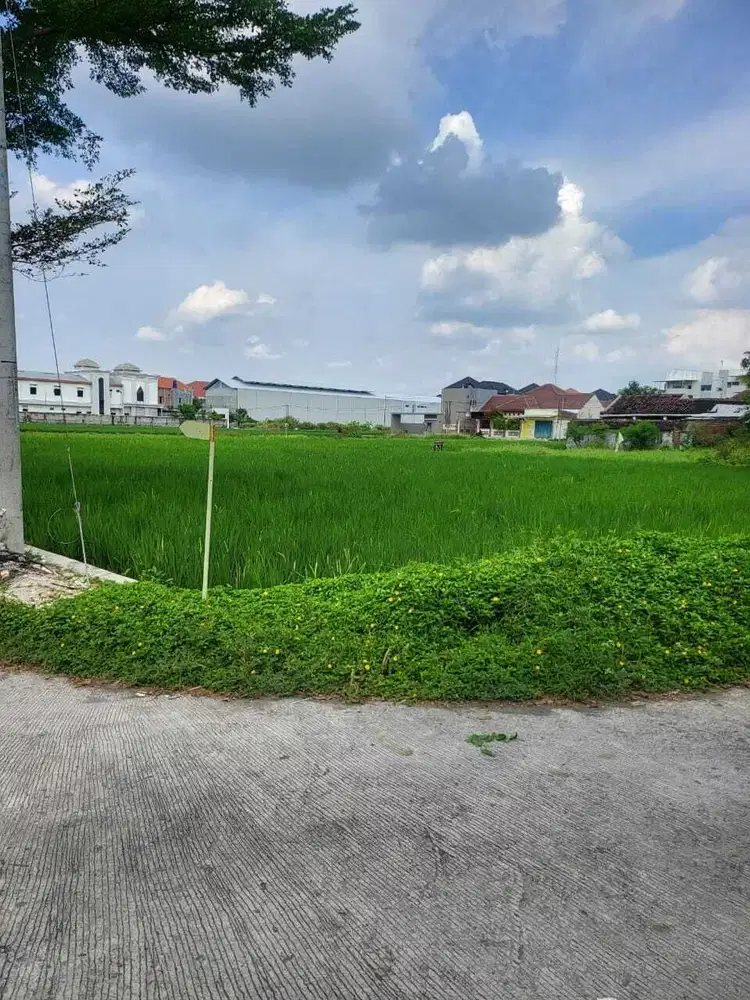 200 mtr Tugu Boto Klodran, Tanah Kavling 4 jt-an/m²: Luas 105 m², SHM