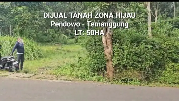 DIJUAL TANAH ZONA HIJAU 50HA TEMANGGUNG, JATENG