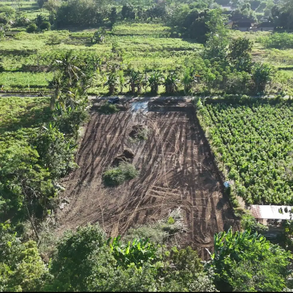 Area Pemkab Boyolali: Tanah SHM di Mojosongo murah, Siap Akad Notaris