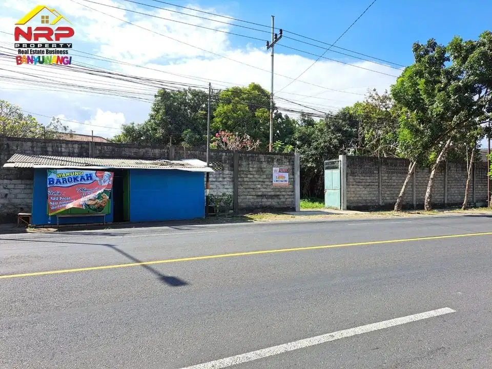 Dijual Tanah Bonus Bangunan Rumah dan Walet di Jl.Raya Rogojampi - Bwi