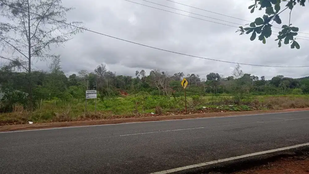 Dijual Tanah Di Nol Jalan Propinsi Di Bintan Timur Riau