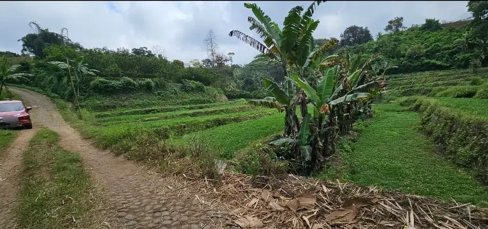 Tanah murah luas 1.400 di bumiaji batu buat invest BU SEGERA murah