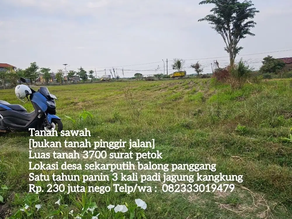 Sawah produktif di jual cepat butuh uang mendesak