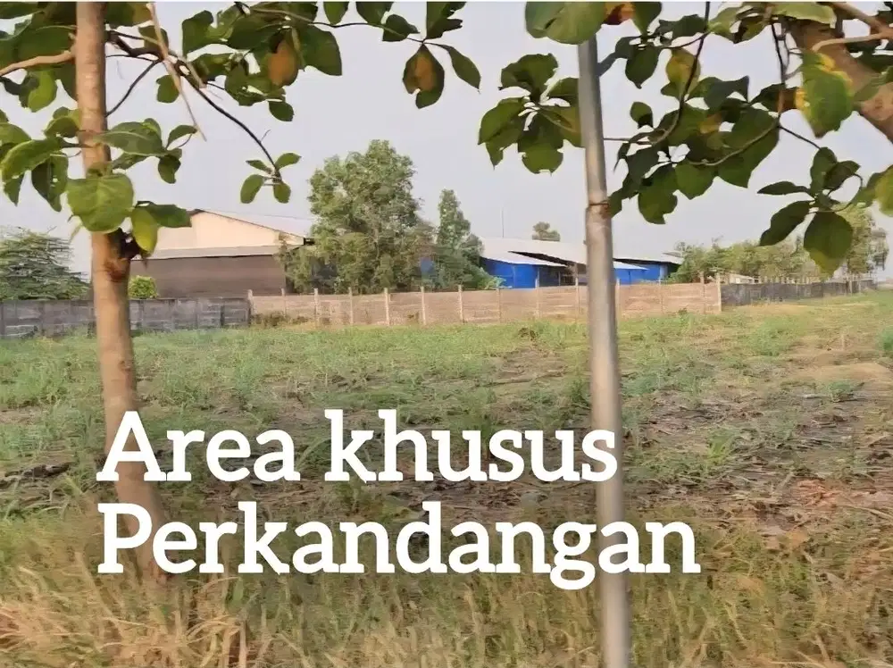 Lahan untuk kandang sapi kambing ayam dll