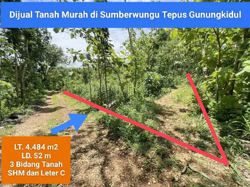 Jual Tanah murah di Sumberwungu Tepus Gunungkidul