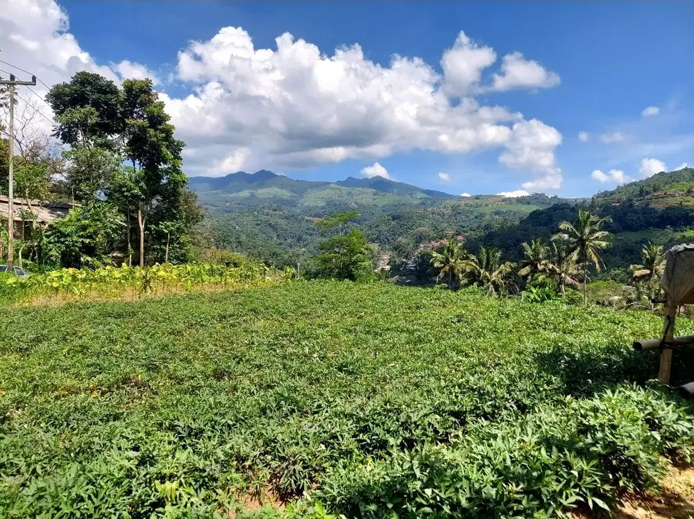 Tanah kebun view bagus, ke jalan raya 350 mtr