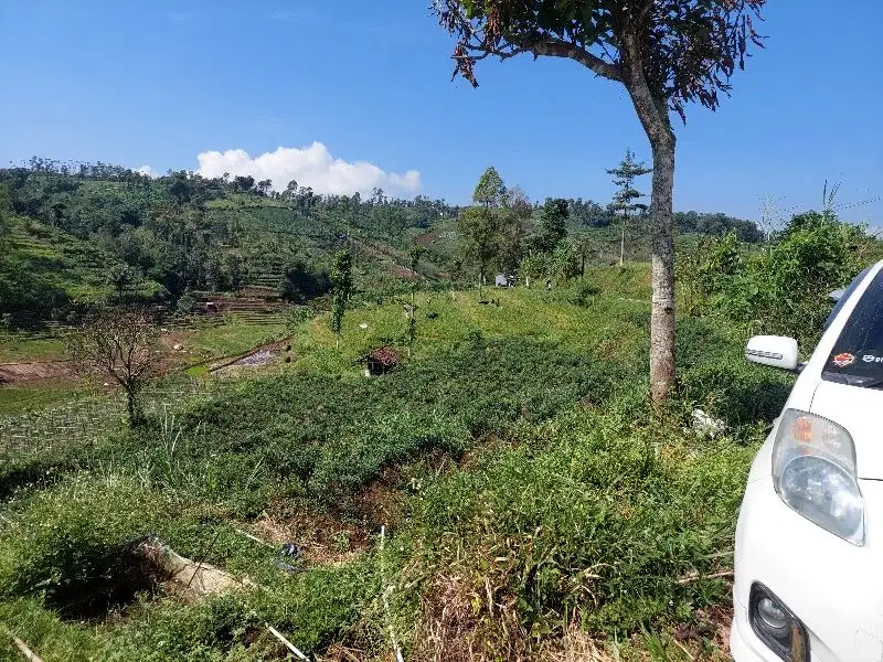 Tanah kebun pinggir jln pasigaran tanjungsari