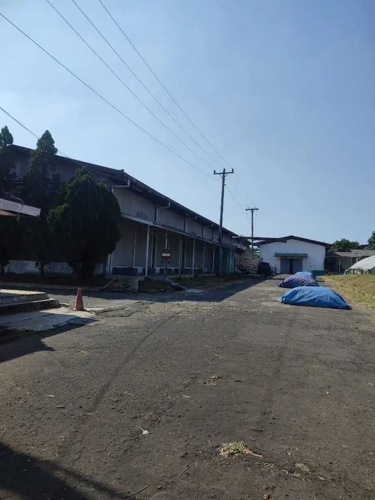 DIJUAL PABRIK TAMBAK AJI SEMARANG, EX PABRIK FROZEN FOOD