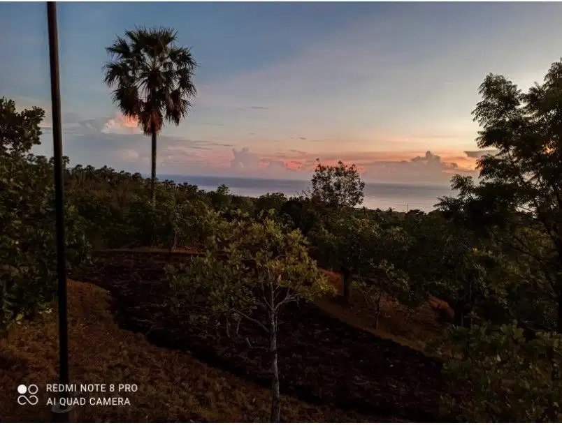 Tanah 1 hektar di Tulamben, Karangasem Bali