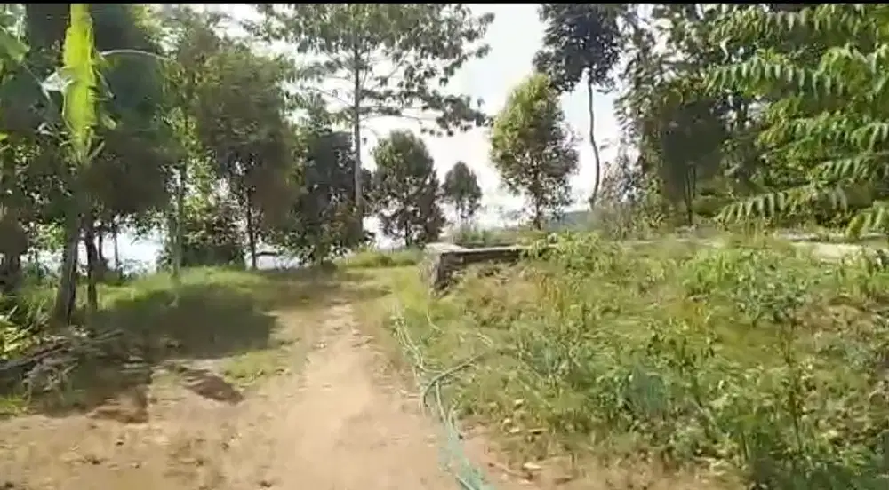 Tqnah kebun 7,8 Ha murah Ganjarresik wado sumedang