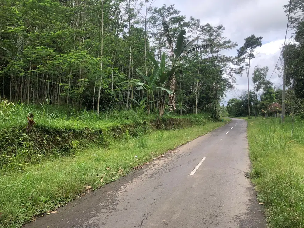 Dijual tanah ubud taro saip bangun lebar 30m